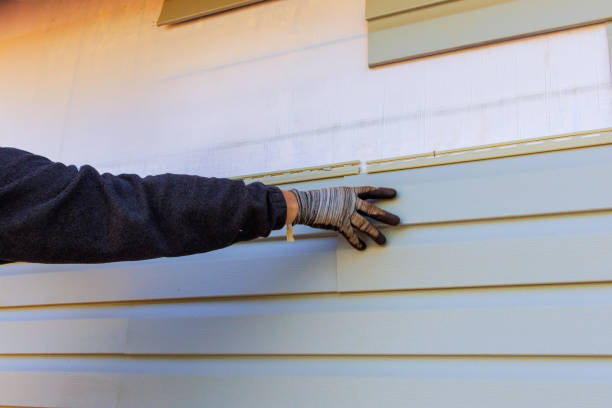 Best Fiber Cement Siding Installation  in Sutton Alpine, AK